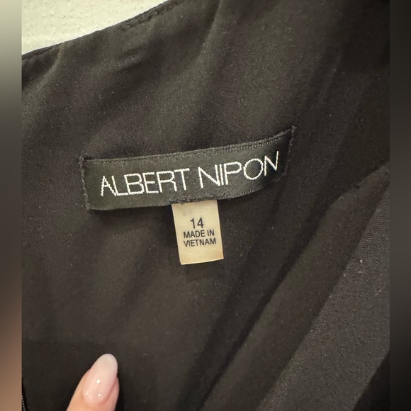 Albert Nipon Black and Porcelain Lace Overlay Dress - Picture 11 of 16